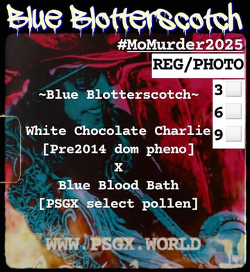 PSGX Blue Blotterscotch 9er Pack