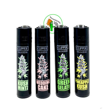 Clipper Serie Plantz #6