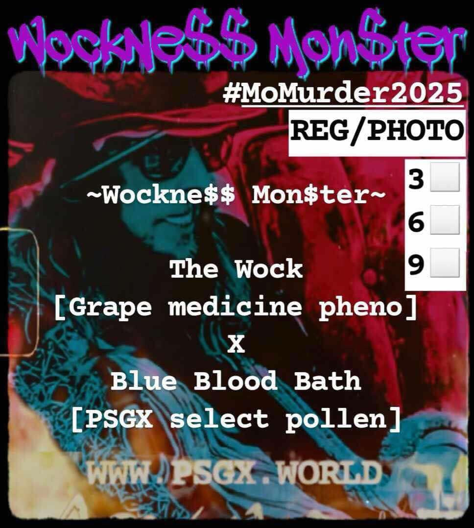 PSGX Wockness Monster 6er Pack