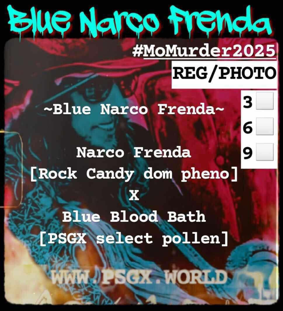 PSGX Blue Narco Frenda 6er Pack