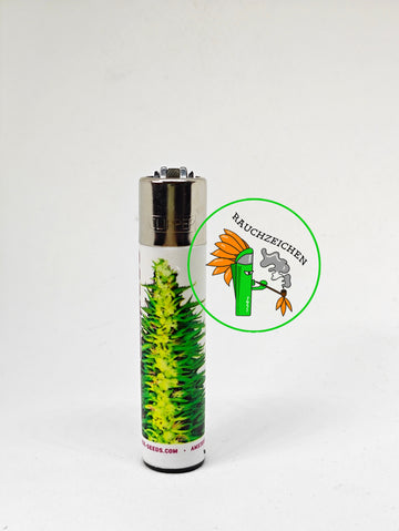 Clipper Pandora Paradise Seeds